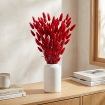 Product Rabbit's Tail Grass (Lagurus) Dried Red 60cm 50g Dried Flower Decoration
