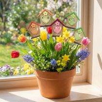 Product Flower Stick Spring House Butterfly Flower 8.5cm 12 pcs