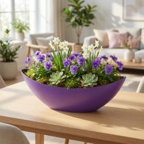Product Plant boat decorative bowl purple 38.5cm×12.5cm×13cm