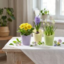Product Plant pot woven planter paper green, yellow, purple Ø7cm H13cm 12pcs