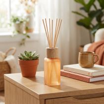 Product Room Fragrance Diffuser Glass Ginger Camila Fragrance Sticks 100ml