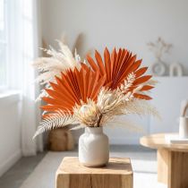 Product Palmspear Sun Orange 30 pcs