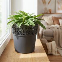 Product Planter plastic flower pot anthracite Ø14.5cm H15.5cm