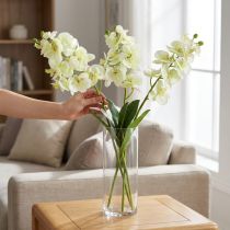 Product Orchid light green 56cm 6pcs