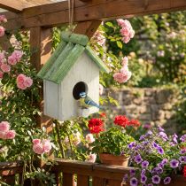 Product Hanging decoration birdhouse wood green white 14.5×7.5×17.5cm