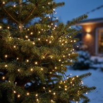 Product LED rice light chain 350 green, warm white for outside 7.5m