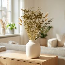 Product Dried Flowers True Caraway Green Decoration 55cm Bunch 5 pcs – Dried Decoration &amp; Artificial Flowers