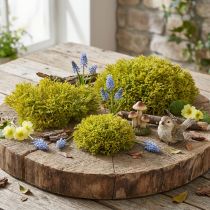 Product Decorative moss artificial green brown – moss cushion 10/12/14cm 3 pcs