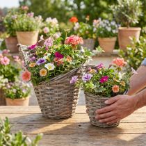 Product Flower pot planter basket willow natural Ø12.5cm/20cm 2-piece set decoration vintage rustic