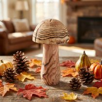 Product Wooden mushroom for standing, decorative mushroom, wood Paulownia Ø15cm H28cm