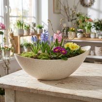 Product Plastic planter, plant pot, beige, 28×9×9cm
