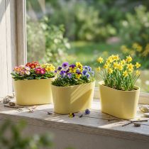 Product Plant bowl oval yellow decorative bowl plastic 20×10×11cm 3pcs