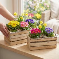 Product Wooden planter box with natural bark and handle, L29cm/23cm, set of 2.