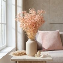 Product Gypsophila Decoration Orange Dried Grasses Peach 65-70cm 100g