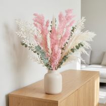 Product Pink feather asparagus (Asparagus) dried decoration 55-70cm