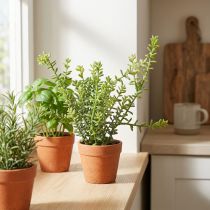 Product Decorative Thyme in Pot Artificial Herbs Kitchen Decoration 25cm