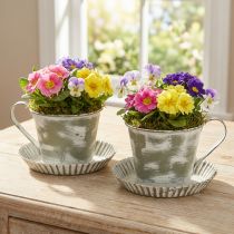 Product Decorative cup metal white washed antique Ø9cm H8cm 2pcs