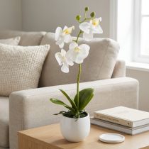 Product White orchid artificial flowers in pot Phalaenopsis H33cm