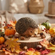 Product Hedgehog decorative figure, autumn, hand-painted, brown, 14×9.5×9cm