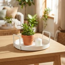 Product Plant tray for versatile use in the home and garden, 18cm