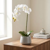 Product Artificial orchid plant, deceptively realistic, for office and living room decoration, 62cm