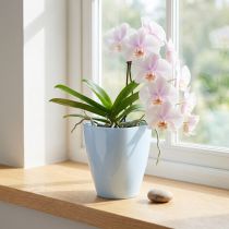 Product Orchid pot glossy Ø12.5cm white 1 pc