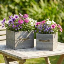 Product Planter wooden drawer washed gray 15×15cm/12×12cm set of 2