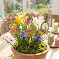 Product Easter bunny wood, flower plugs Easter, bunny plugs 8.5cm 12pcs