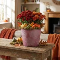Product Autumn pot, plant bucket, metal decoration with leaves wine red Ø25.5cm H22cm