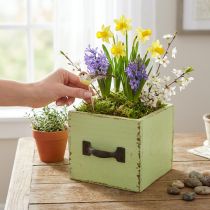 Product Planter drawer light green shabby chic 12.5×12.5×10cm