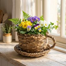 Product Planting cup with saucer, small straw planting basket, Ø17cm H13cm