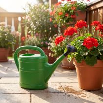Product Watering can for garden and balcony, plant care accessory 5L