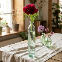 Product Bottle decoration vase, glass, clear/green, retro, Ø6.5cm, H30cm