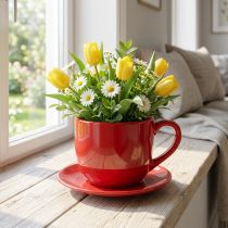 Product Large decorative cup with saucer, suitable as a plant pot, 17cm