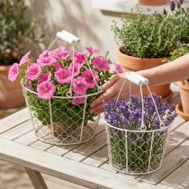 Product Decorative wire baskets as a decorative solution for creative garden design, 30cm, 1 set