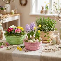 Product Chipboard bowl round multicolored Ø25cm 6 pcs