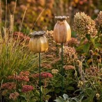 Product Garden stake poppy seed pod for stylish garden design, flower bed or balcony, 60cm, 2 pieces