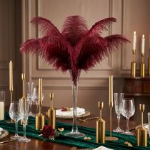 Product Ostrich Feathers Real Feathers Decoration Wine Red 20-25cm 12 pcs