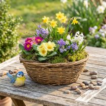 Product Natural flower bowl, decorative bowl with vine design, 31cm, rustic, planter