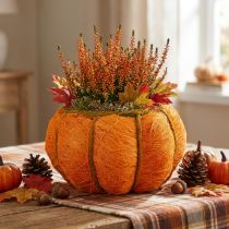 Product Plant pot pumpkin decoration orange/yellow-green sisal Ø21cm H12cm