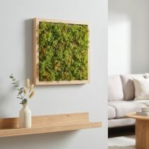 Product Moss artificial moss mat – perfect for moss picture light green 25×25cm
