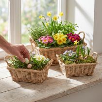 Product Plant basket rectangular willow natural 39/33/27cm set of 3
