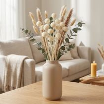 Product Craspedia dried drumsticks cream 45-55cm 20 pcs