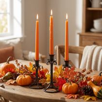 Product Taper Candles Wenzel Candles Orange 250/23mm 12 Pcs