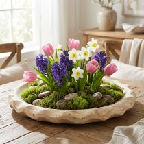 Product Decorative bowl wood Paulownia natural Ø36cm
