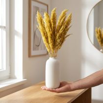 Product Dried grass, reed grass, yellow, decorative, 70cm, dried flowers, 10 pieces