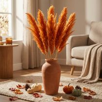 Product Dried grass, reed grass, decorative grass, orange, autumn decoration, 70cm, 10 pieces