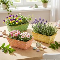 Product Chip basket set square multicolored 20/11cm 8 pcs