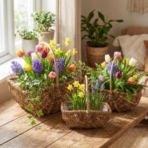 Product Handle basket rectangular nature 34×26/29×20/24×15cm set of 3
