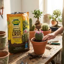 Product FRUX Soil Cactus Soil and Bonsai Soil 5L